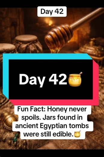 Day 42🍯|Fun Facts Every Day. #Godlovesyou #funfacts #honey #fyp #viral
