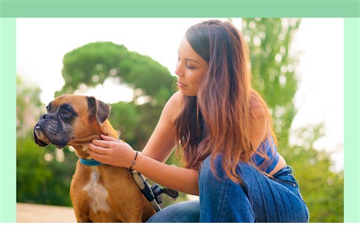 15 Best Dog Breeds for First-Time Owners