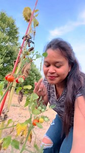 129K views · 2.2K reactions | Dahil sa init walang laman ang garden pero may bunga parin | Maryann Realitytv | Facebook