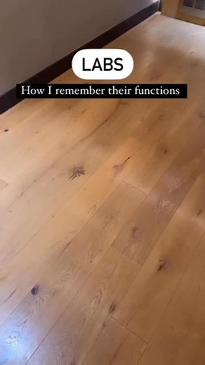 Quick mnemonics 🧠 🧂 Sodium (Na⁺) “Sodium Swells” • Sodium controls water balance in and around cells. • When sodium levels are high → water follows → fluid retention and swelling (edema) can occur. • When sodium is low → cells shrink and you can get neurological symptoms (like confusion or seizures). Mnemonic: “Sodium swells the body” → think water follows sodium! 🍌 Potassium (K⁺) “Potassium Pumps the Heart” • Potassium is essential for the electrical conduction that makes the heart beat prop