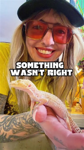 The Inspiring Rescue Story of Nana the Leopard Gecko