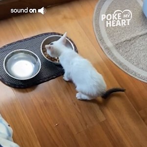 How cute is this breakfast club conversation? 😹🍽💕 | Poke My Heart