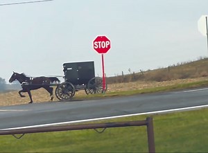 254K views · 4K reactions | Puttin' the pedal to the metal west of Mt Hope Ohio yesterday. | Ohio Amish Country | Facebook