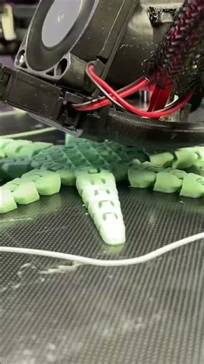 Octopus from start to finish