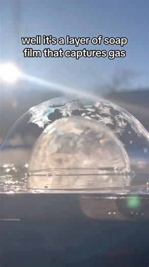 3.1K views · 37 reactions | In Part 2 of Cold Weather Science we have frozen bubbles!! #science #cold #bubbles | Bunsen Berner | Facebook