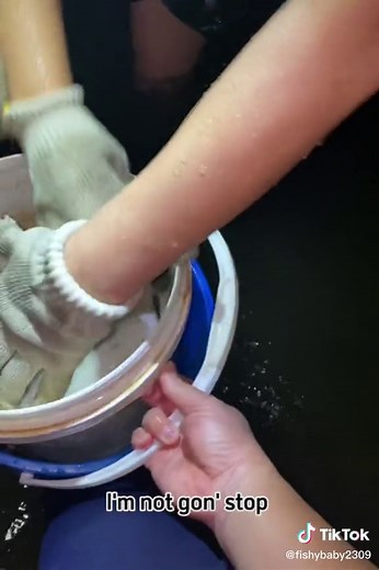 Crabbing in Singapore #singapore #crabbing #survivor