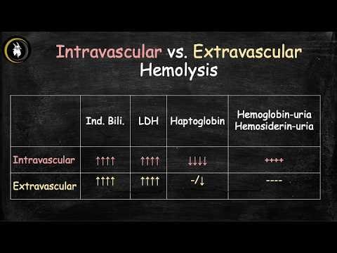 Intravascular vs Extravascular Hemolysis | High-Yield + Labs Explained