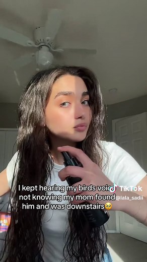 Cute Bird Coco: Love in the Air Drama