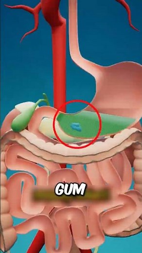 What REALLY Happens If You Swallow Gum? The Truth Will Surprise You! 🤯