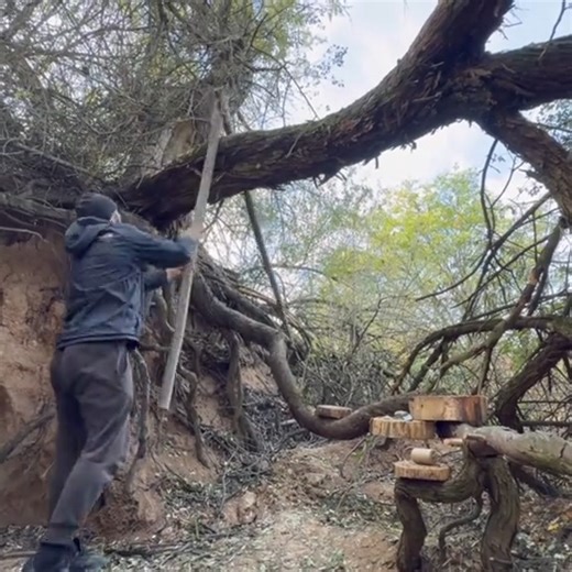 140K views · 1.7K reactions | Sports 378 on Reels | Facebook