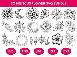 Hibiscus Flower SVG Bundle: Tropical Floral Cut Files (digital Download) - Etsy