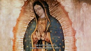 27K views · 290 reactions | Del 08 al 12 de abril, todos los obispos...