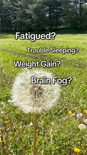 TONIGHT at 6:15pm! We’ll see you there! #cleanse #detox #purify #standardprocess #fypage