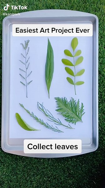 Leaf Rubbings Art for Kids: Easy and Fun Crafts