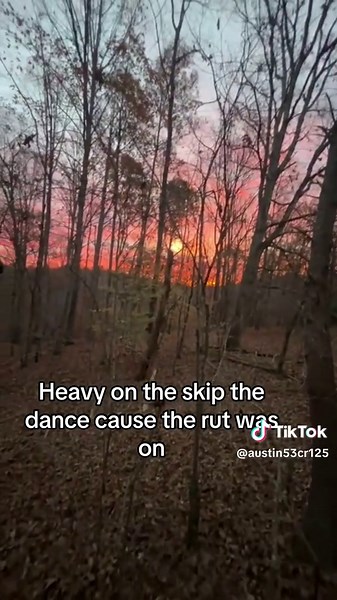 Deer Hunting Season Tips and Preparation