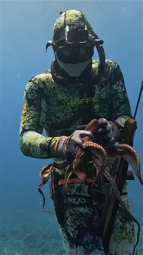 The Hawaii Octopus Hunters #fishing #spearfishing
