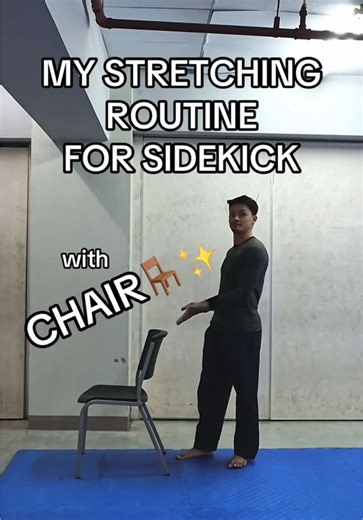 Stretching Routine for Sidekick with Chair