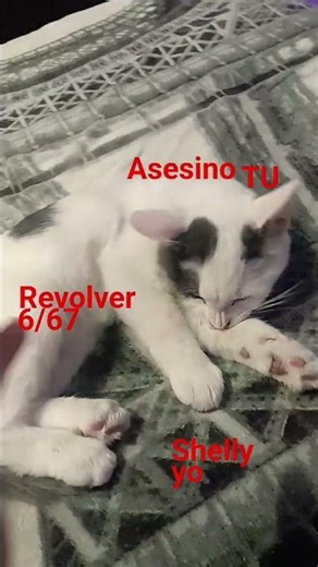 9 de diciembre de 2025