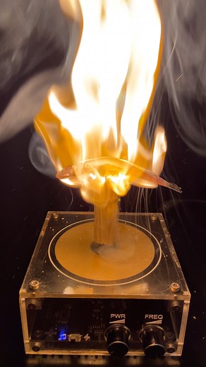 I cook fish using a Tesla Coil🔥 #teslacoil #musik #experiment | Kadek Tesla Coil Experiment