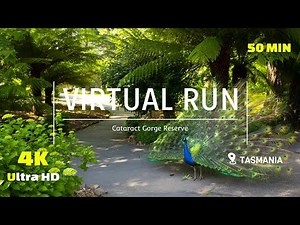 Virtual Run Trail - Trail Run 4K - Treadmill Workout -Cataract Gorge - Scenery Tasmania