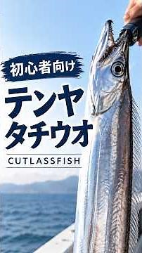 【初心者向け】テンヤタチウオの基本｜アタリからヒットまで！ Tenya Cutlassfish Fishing #Shorts