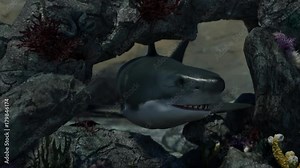 angry shark with open mouth jumps out of the reef in the sea render 3D