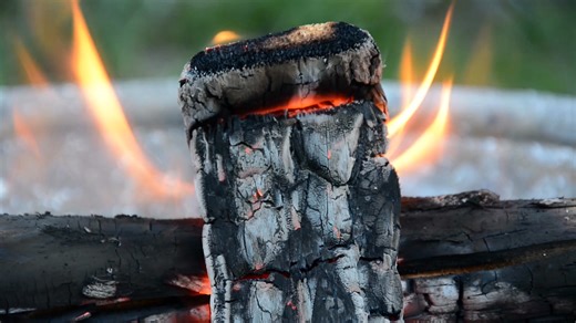 Make sure you have the firewood info you need when SHTF! https://www.shtfdad.com/firewood-shtf/ | SHTF Prepping & Homesteading Central