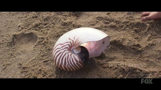 COSMOS, UMA ODISSEIA DO ESPAÃ‡O-TEMPO (2014) Ep. 1/13