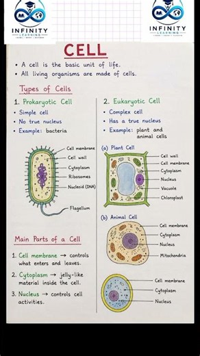 🧬 The Cell Explained Simply | The Basic Unit of Life