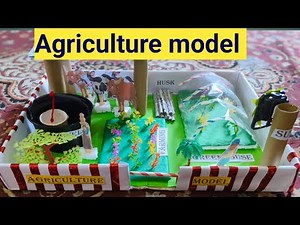 DIY Agriculture Model for School Projects | Easy Step-by-Step Guide#agriculture#project