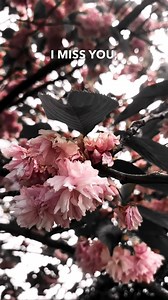 16K views · 1.4K reactions | I miss you. Credit:- @marklemonofficial if you’re not familiar with Marks works please do check him out. #griefjourney #griefandlosssupport #spokenword #poetrytok #poerty #spokenwordpoetry #spokenpoetry #quotes #instagood #griefislove | James Mooney | Facebook