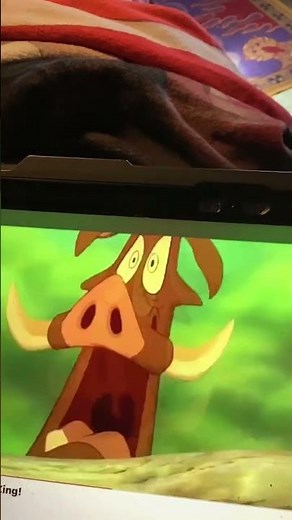 The lion king pumbaa chase nala