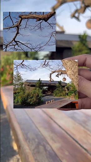 Sony SteadyShot DSC W830 sample image / Sony SteadyShot DSC W830 sample photo