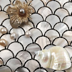 Mother of Pearl Backsplash for Creative Home and Wall Designs