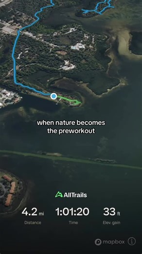 ALECIA RIVERS on Instagram: "no caffeine - just nature induced dopamine 🌴🌊🐢🏃🏻‍♀️☀️ #alltrails #hiking #wellnessjourney #nature #running"