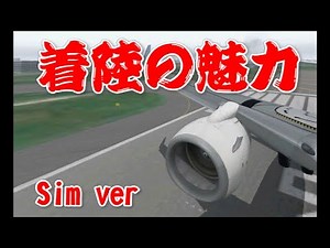 着陸の魅力。羽が毛羽立つ。