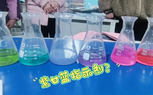 怎样用紫甘蓝做酸碱指示剂？