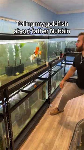 Telling My Goldfish the Story of Nubbin