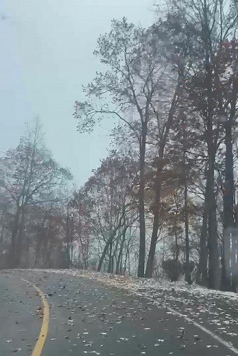 1.7K views · 44 reactions | Wee bit snowy today, whole lotta cold. 略 | Nicole Neese | Facebook