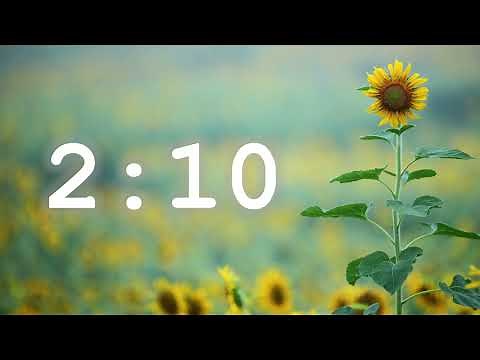 3 Minute Timer (Calm Music)
