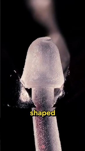 You Don’t Need Scissors to Remove Clothing Tags!