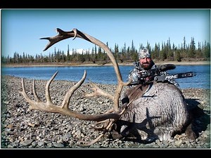 Alaska's Caribou Hunt: Into the Untamed Wilderness