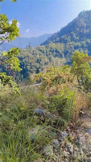 #Saare Java Na Jal Jal Ke Maroge #song