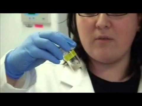 Topics in Biomedical Engineering: Making Microspheres