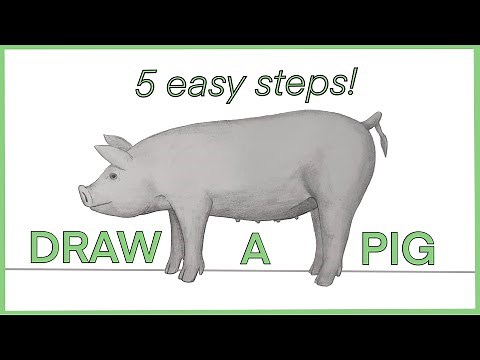 How to Draw a Realistic Pig (Step-by-Step Beginner Tutorial)