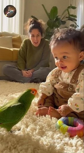 The parrot and the baby practice speaking together P17#talkingparrot #funnyparrot
