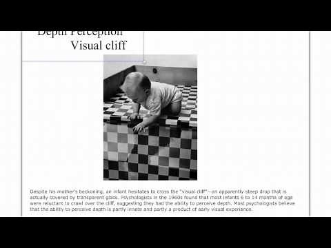 Introduction to Perception- Part 1