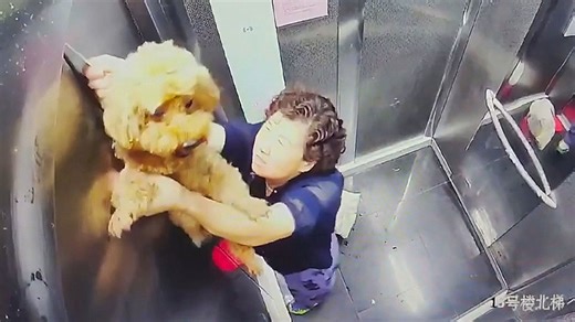 Elderly woman saves her dog after leash gets caught in elevator door