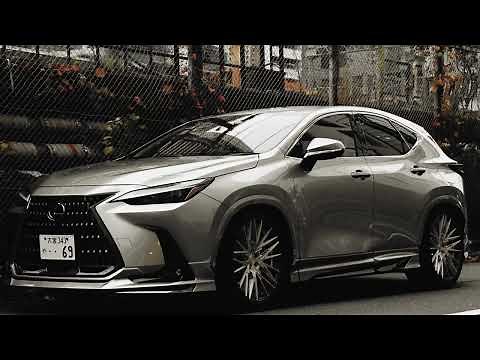 【カスタムカー】新型NX350h Ver.Lローダウン、フルエアロカスタムPV