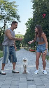 38K views · 115 reactions | Playful competition between two characters to win over dogs. | Fabiosa Better World | Facebook